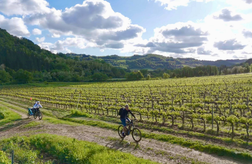 chianti