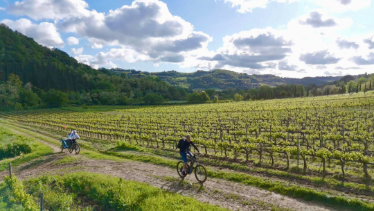 chianti
