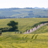 Eroica Montalcino celebra dieci edizioni tra strade bianche e fedelissimi della Val d’Orcia