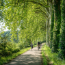 Tolosa, oltre 800 chilometri di piste ciclabili e il fascino senza tempo del Canal du Midi