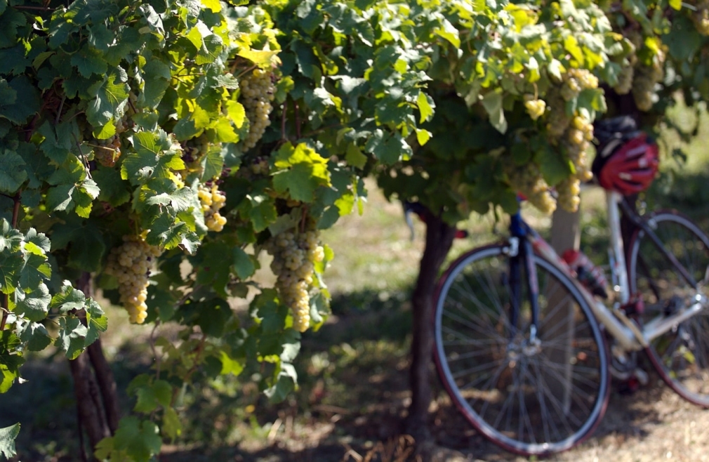 Percorsi in bici in Emilia Romagna