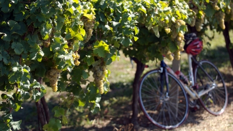 Percorsi in bici in Emilia Romagna