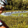 Dalle colline del Prosecco al Giappone: la Prosecco Cycling si allea con la Raimbow Bridge Ride di Tokyo