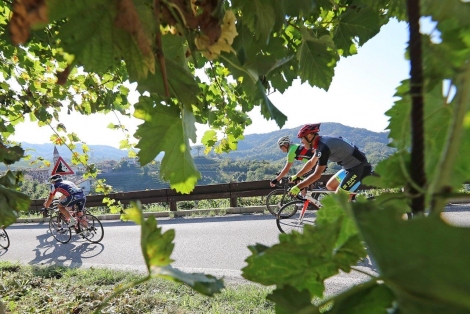 prosecco cycling vigne vino veneto