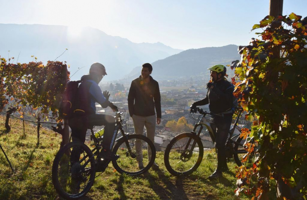 trentino taste&bike percorsi gusto strada del vino