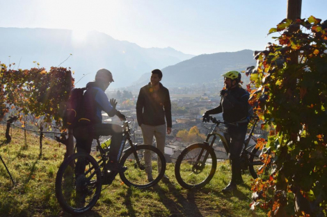 trentino taste&bike percorsi gusto strada del vino