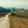 Itinerari in bici a piedi per scoprire la Val Mivola