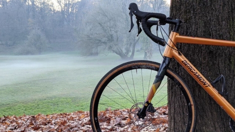 bergamont grandurance 8 gravel