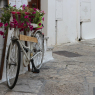 Puglia, la bicicletta traina l’economia delle destinazioni turistiche