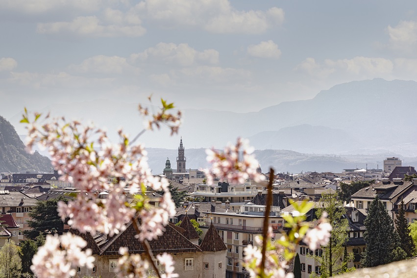 bolzano primavera fiori