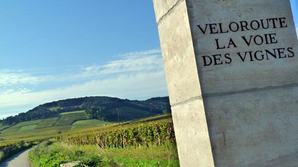 borgogna-in-bicicletta-voie-des-vignes