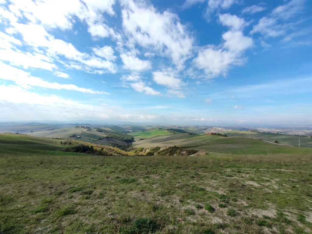 cammino etruria centro crete senesi asciano
