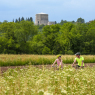 Gorizia e Nova Gorica: gli itinerari cicloturistici delle capitali della cultura