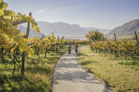 cicloturismo_bolzano_caldaro_autunno_foliage_vigne_thomas_monsorno