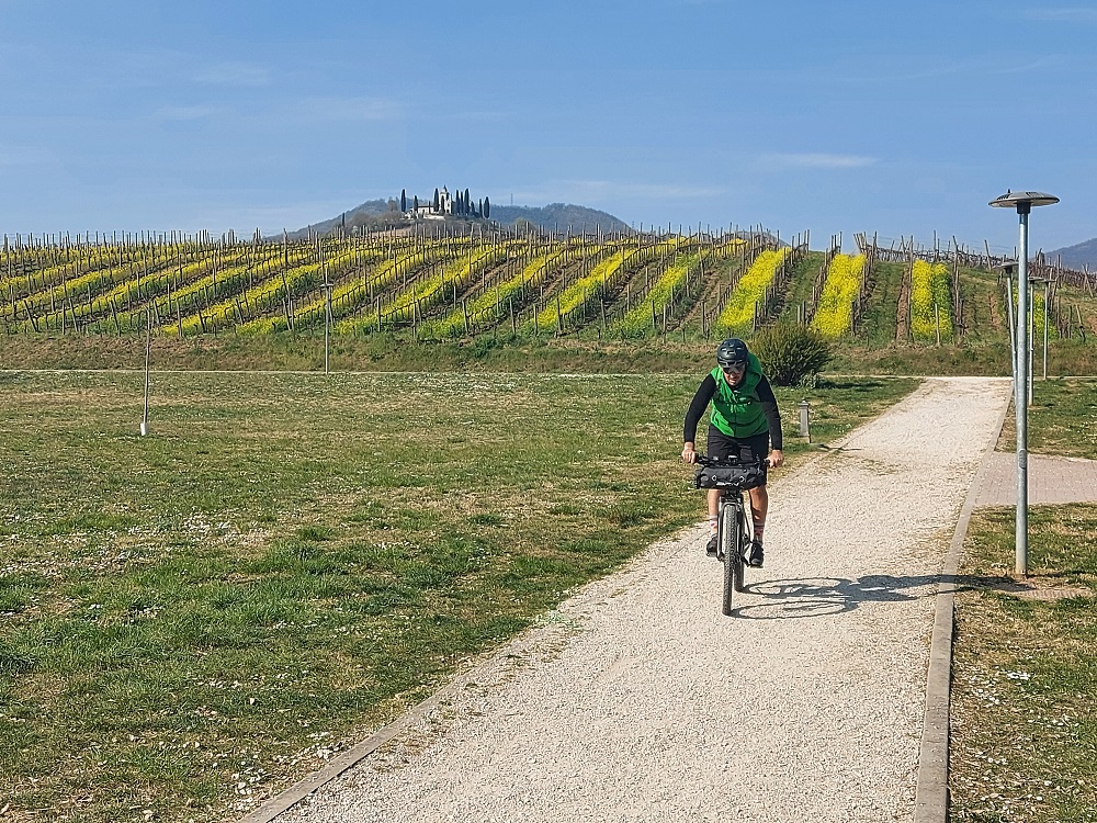 ciclovia aida vigne
