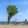 In Danimarca nasce la “Danish Wheelness”: il benessere si scopre pedalando