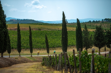 eroica montalcino toscana