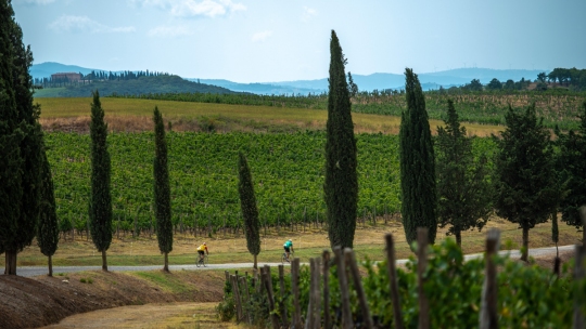 eroica montalcino toscana