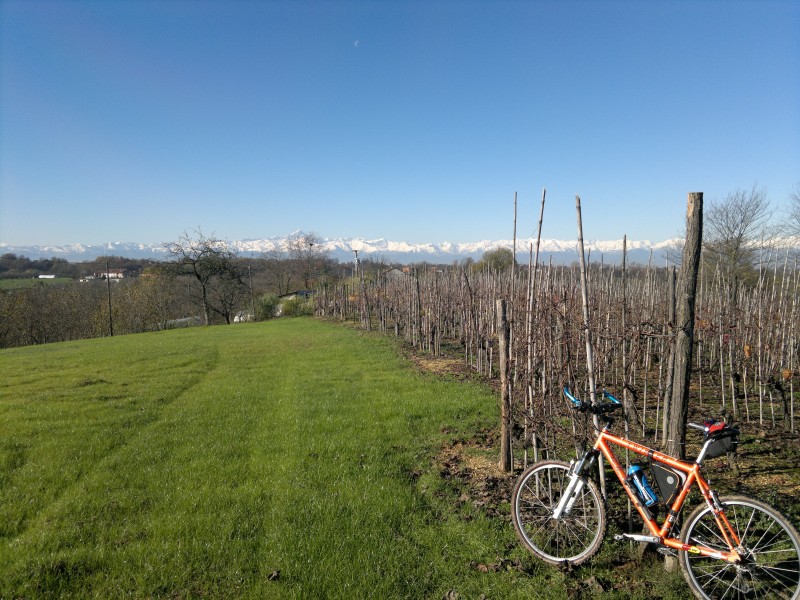 roero cicloturismo vigne