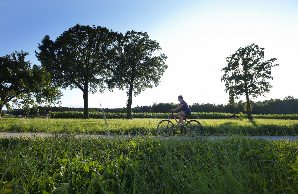 slovenia green wellness route cicloturismo