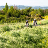 La Social Pedalèda 2025: il 4 maggio da Cesena a Cesenatico in bici lungo la Ciclovia del Pisciatello