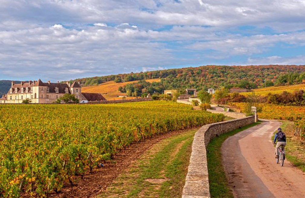 voie-des-vignes-borgogna